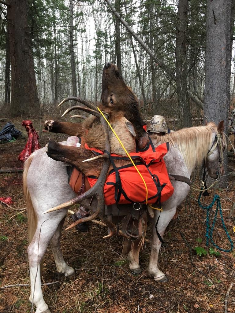 man on a horse