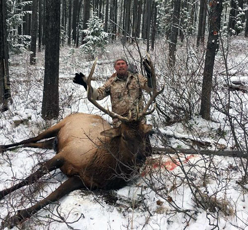 elk kill