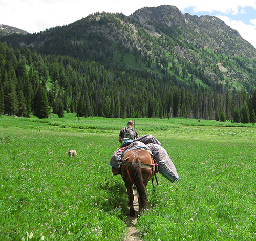 man on a horse