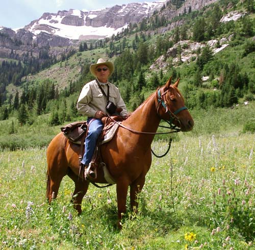 Man on a horse in the mountains